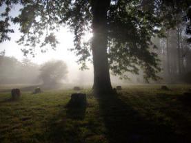 Séjours chamaniques : Esprit de la yourte Séjours chamaniques : Esprit de la yourte